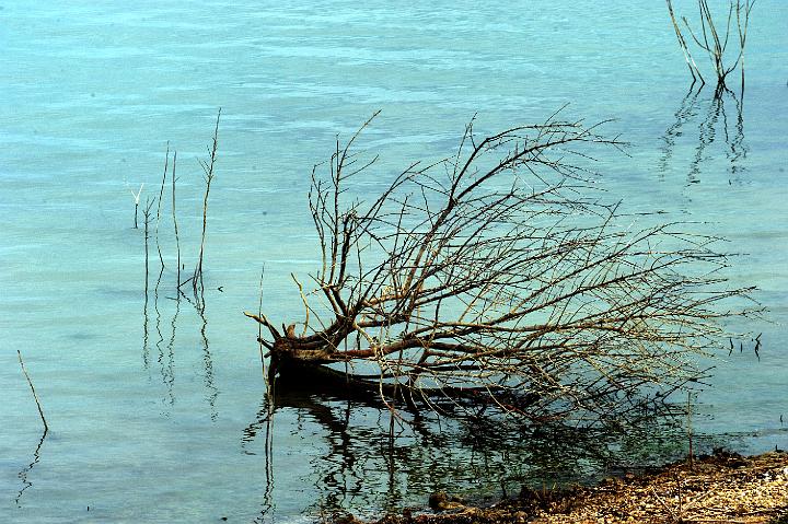 Biviere di Lentini 23.1.2011 (41).jpg